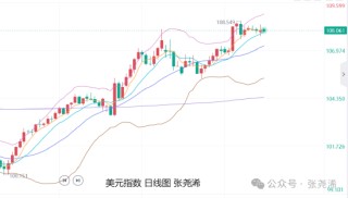 张尧浠:金价偏弱预期加强 年线收官后仍面临走低风险