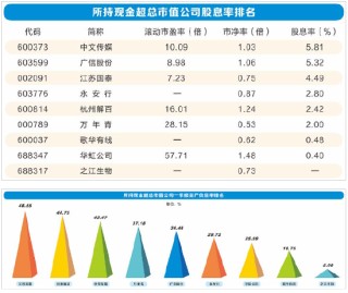 黄金坑还是价值陷阱：10家公司所持现金超过总市值