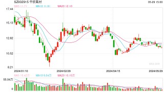 潇湘晨报::大时代资本中欣氟材控股子公司6.51亿元项目环评获同意