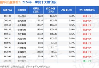 第一财经::捷希源5月29日紫天科技跌12.34%，鹏华弘鑫混合A基金重仓该股