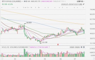 港股异动丨上半年溢利同比增140%-150%超市场预期，舜宇倒跌超7%