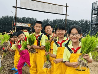北京大兴安定镇：把课堂搬进稻田地 特色农耕文化“迎端午”