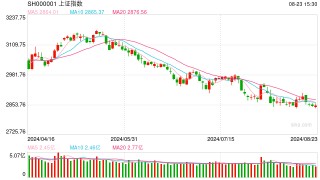 视频|李大霄即时点评：力挽狂澜