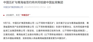 大重组！“中国神湖”起航 盐湖资源整合或加速推进