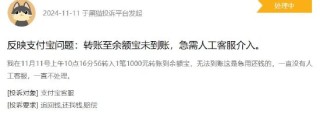 “双11”当天支付宝崩了？今年已出现三次