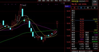 暴涨！嘉实德国ETF涨超7%溢价率超50%，紧急停牌！