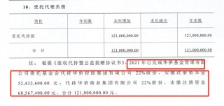 先代持后受赠，每年仍收百万“保底捐款”，侨益基金会与华侨系的股权迷局