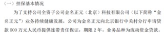 金名股份全资子公司金名正元拟向银行申请500万贷款 公司提供连带责任保证