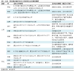 山东、河北地区玉米生长情况及上市时间调研