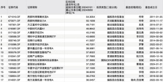 公募业绩“排位赛”，最牛是它