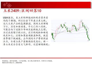 中天期货:原油关键位争夺 玉米区间回落