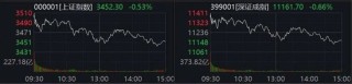 A股巨震！这两大板块批量涨停
