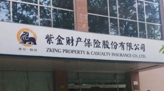 举牌9个月后 紫金财险对华光环能持股比例被动稀释至4.94%