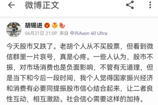 胡锡进入市一周年：终于活成了韭菜的模样