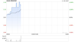 稀美资源授出合共300万股奖励股份