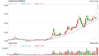 并购关联资产“输血” 宜宾纸业急于解困