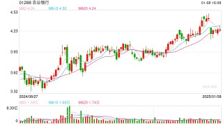 农业银行等两家国有大行H股 开年即获险资增持