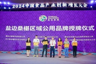 盐边桑椹品牌战略发布：中国果桑，滋养世界！