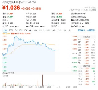 稀土逆市活跃！有色龙头ETF（159876）盘中上探2．5%，广晟有色触板，机构：或开启稀土磁材成长大年