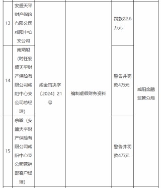 安盛天平咸阳中心支公司被罚22.6万元：因编制虚假财务资料