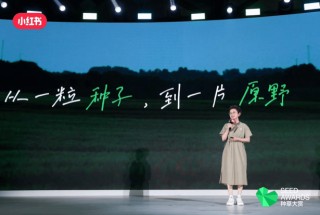 首届小红书种草大赏获奖案例诞生，种草产品解决方案宣布升级