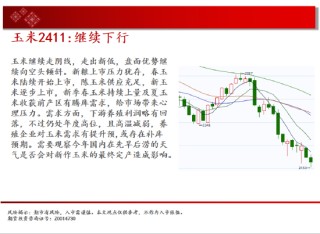 中天期货:白银降息落地继续反弹 纯碱地位震荡
