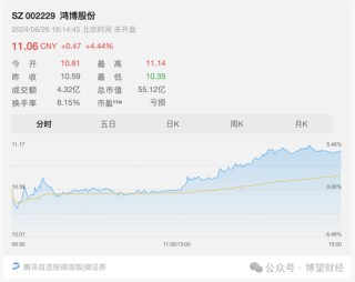 鸿博股份前老板巨额套现离场，17亿“接盘”股民怎么办？