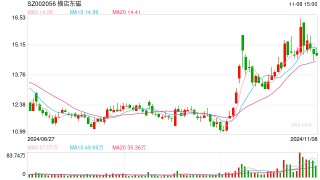 横店东磁毛利率创上市17年最低：光伏投资出现重大失误 32亿转债融资一年半无果