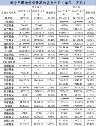 大曝光！66家基金公司，上半年盈利排名