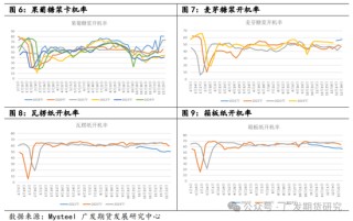 玉米淀粉行业变化及影响分析