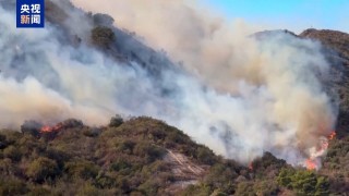 山火肆虐 离家避难 美国前奥运选手：我抛下了家和奥运奖牌