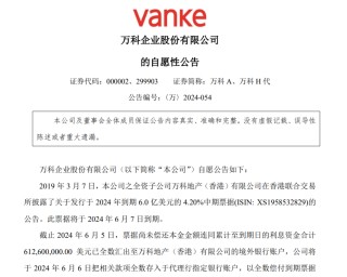 万科“蹚过”今年境外债关口，明年将有超246亿元债务需偿还
