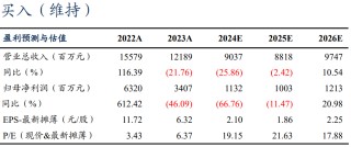 【东吴电新】永兴材料2024年业绩预告点评：Q4业绩符合预期，成本优势显著