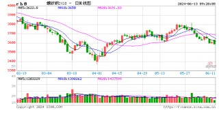 光大期货矿钢煤焦类日报6.13