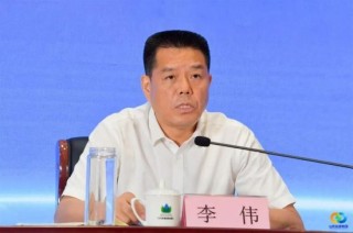 资讯:沪深策略山东能源李伟：新质生产力本质是绿色生产力，能源企业必须落实双碳目标