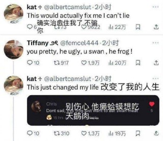 中式英语成海外爆梗 "you swan he frog"