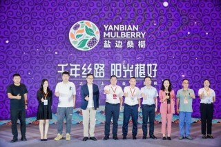 盐边桑椹品牌战略发布：中国果桑，滋养世界！