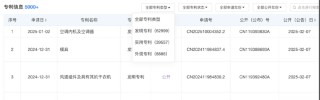 奥克斯冲刺港交所：高增速背后，负债与技术瓶颈的困境与挑战