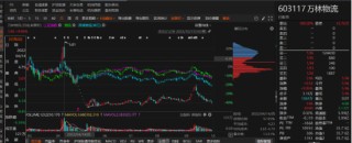 万林物流业绩大变脸，哪些投资者能索赔！