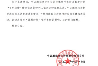 医药“白马股”普利制药遭立案！兴银基金旗下4只产品刚买入就“踩坑”