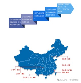 鸿博股份前老板巨额套现离场，17亿“接盘”股民怎么办？