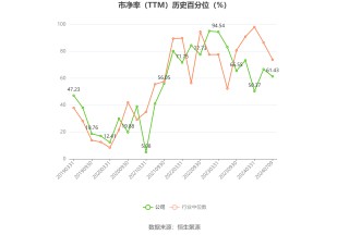 国投中鲁：2024年上半年净利同比预降93.6%-94.88%