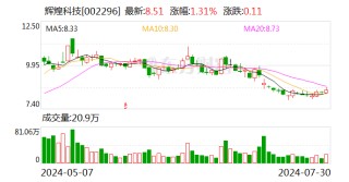 辉煌科技上半年净利润同比增长85.4％