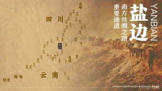 盐边桑椹品牌战略发布：中国果桑，滋养世界！