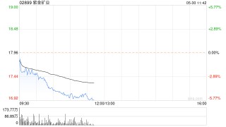综述:金砖策略黄金股早盘普遍下跌 紫金矿业跌逾3%灵宝黄金跌逾2%