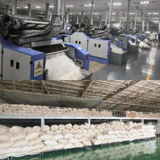 搜狐::伟富国际奢品品质，极致性价比：雅薇吉与女性只有零次与无限次