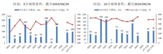 【市场聚焦】花生：迎接新产季