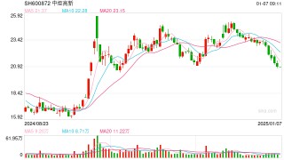 中炬高新选举新独董 拟离职独董投出弃权票：称公司治理结构制衡力不足 存内部人控制风险