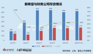 新希望资金安全性需重新审视？定增补流与财务公司“输血”并存
