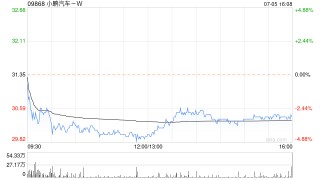 小鹏汽车-W根据股权激励计划发行29.4万股A类普通股